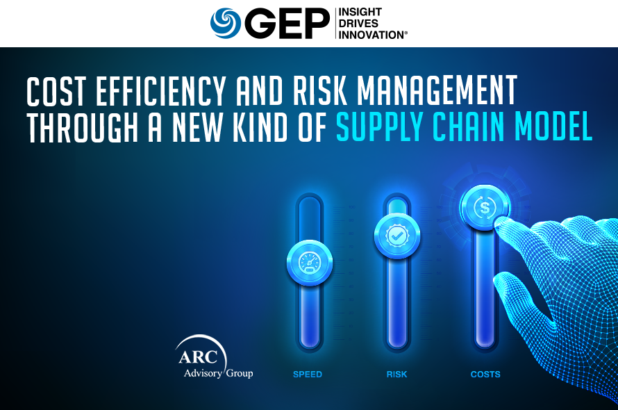 Cost Efficiency and Risk Management Through a New Kind of Supply Chain Model