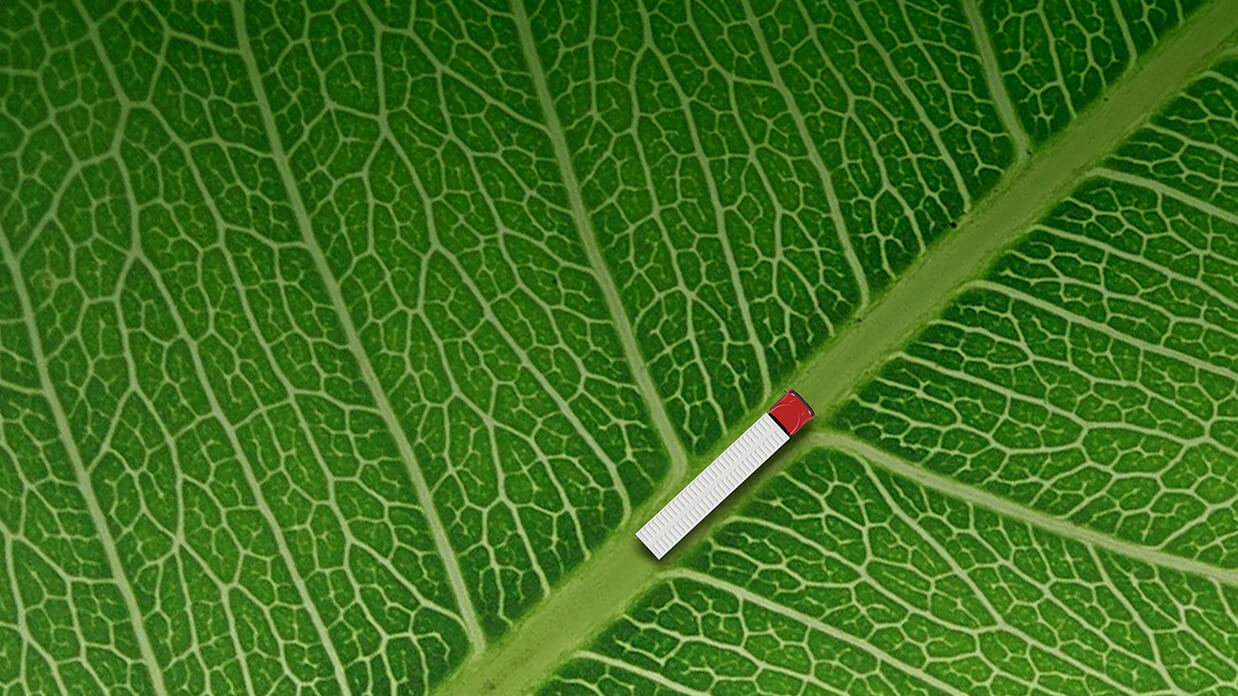 Decarbonizing Logistics