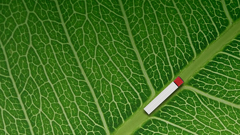 Decarbonizing