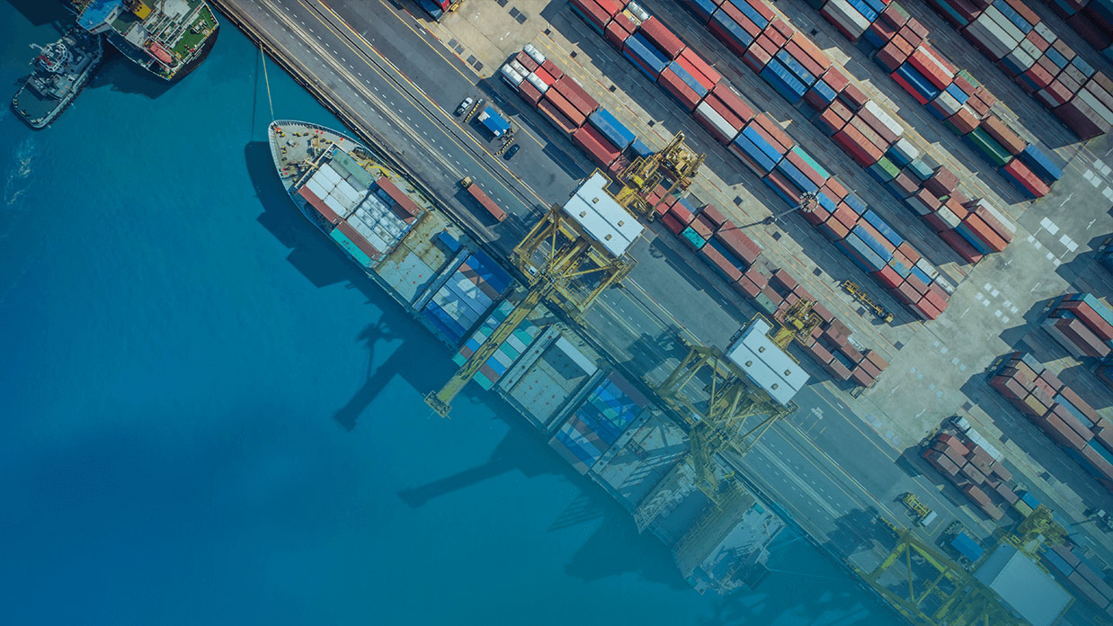 Are B2B Supply Chains The Elephant In The Room? with Mike Jette
